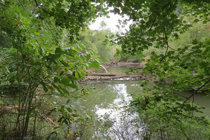Cache River